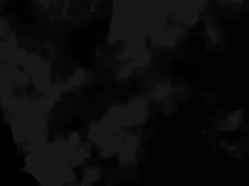 aisha_calloway – webcam model profile photo Image 11