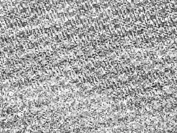 aisha_calloway – webcam model profile photo Image 5