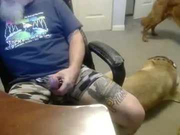 sophie_amalia – webcam model profile photo Image 11