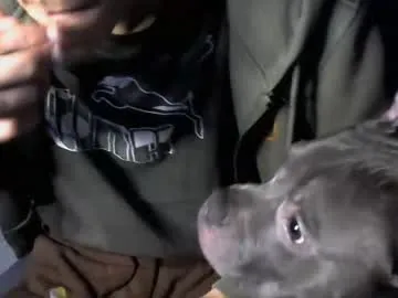 janepuff – webcam model profile photo Image 9