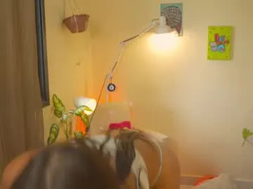 alisoon_dh – webcam model profile photo Image 13