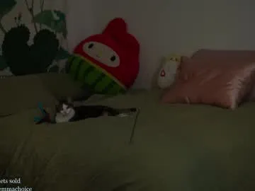 lanie__ – webcam model profile photo Image 10