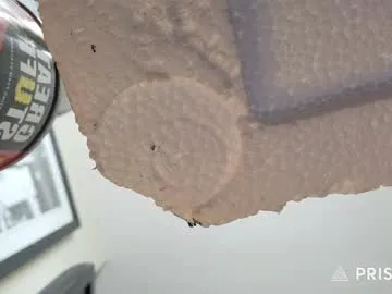 coralie20 – webcam model profile photo Image 8