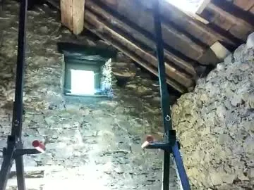 msblossoms – webcam model profile photo Image 5