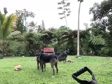 sweet_69billy – webcam model profile photo Image 14