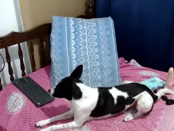 kaylaaaa111 – webcam model profile photo Image 3