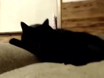 lanie__ – webcam model profile photo Image 17