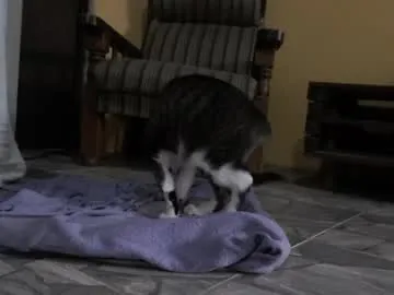 informal_ – webcam model profile photo Image 7