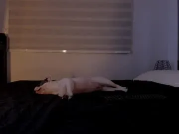 astridwet – webcam model profile photo Image 14