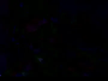 lanie__ – webcam model profile photo Image 2