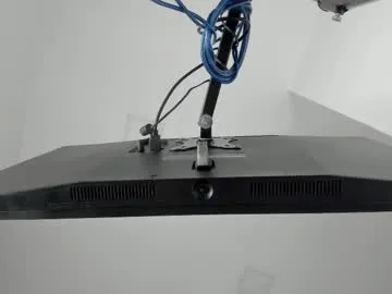 shine_vivi – webcam model profile photo Image 13